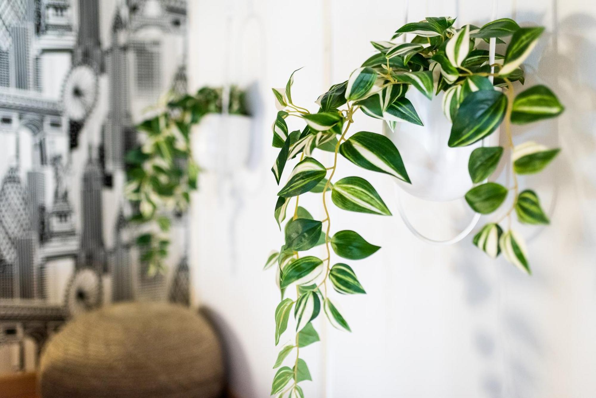 Apartamento Con Encanto, Centro Granada Esterno foto