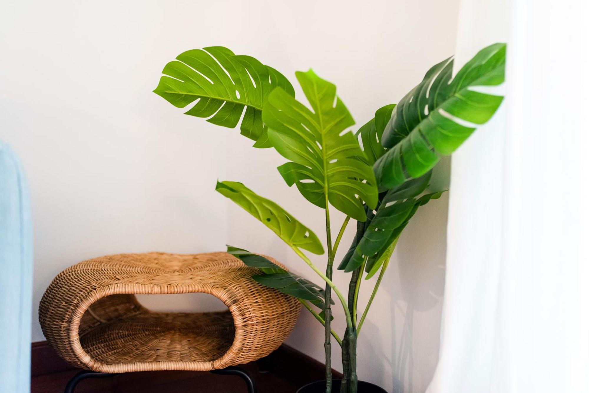 Apartamento Con Encanto, Centro Granada Esterno foto
